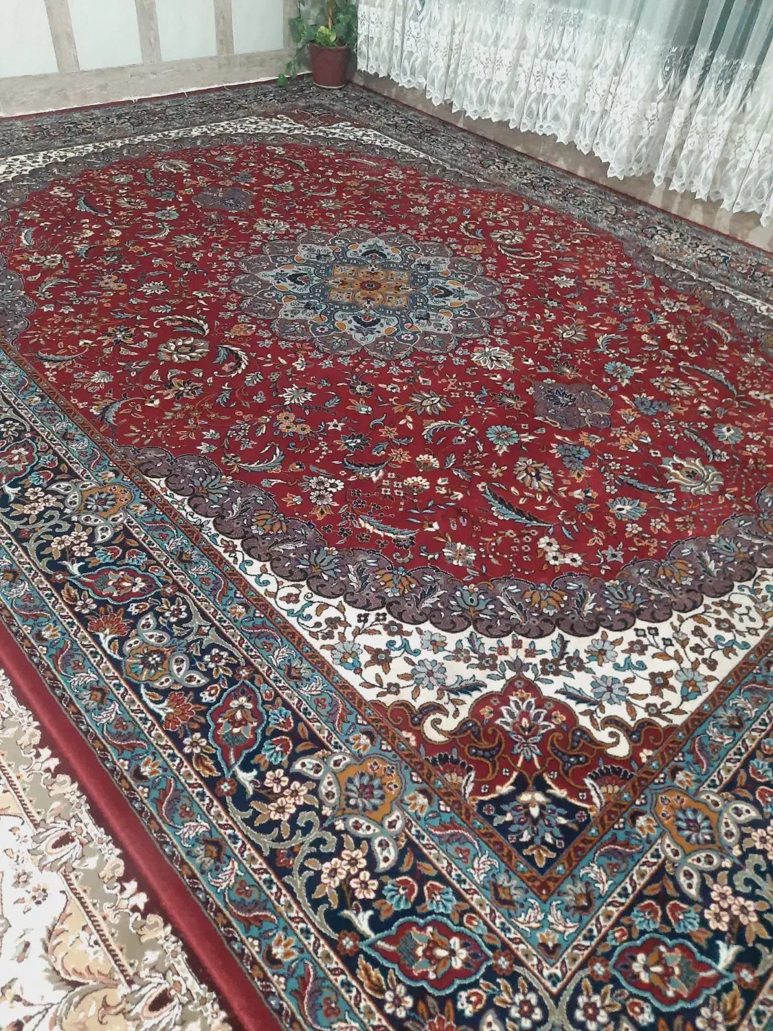 فرش ۱۲ متری لاکی نخ|فرش|شیراز, دارالرحمه|دیوار