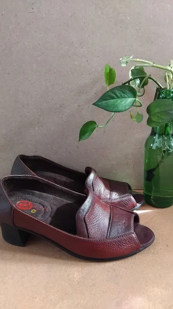 کیف و کفش چرم و معمولی|کیف، کفش، کمربند|رشت, فلسطین|دیوار