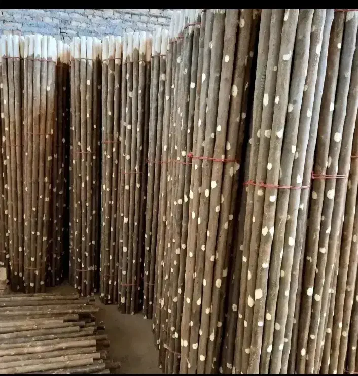 دسته بیل|ابزارآلات|بزینه رود, |دیوار