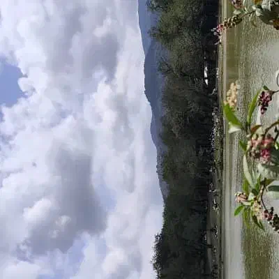 نگهبان باغ|استخدام سرایداری و نظافت|خرمآباد, |دیوار