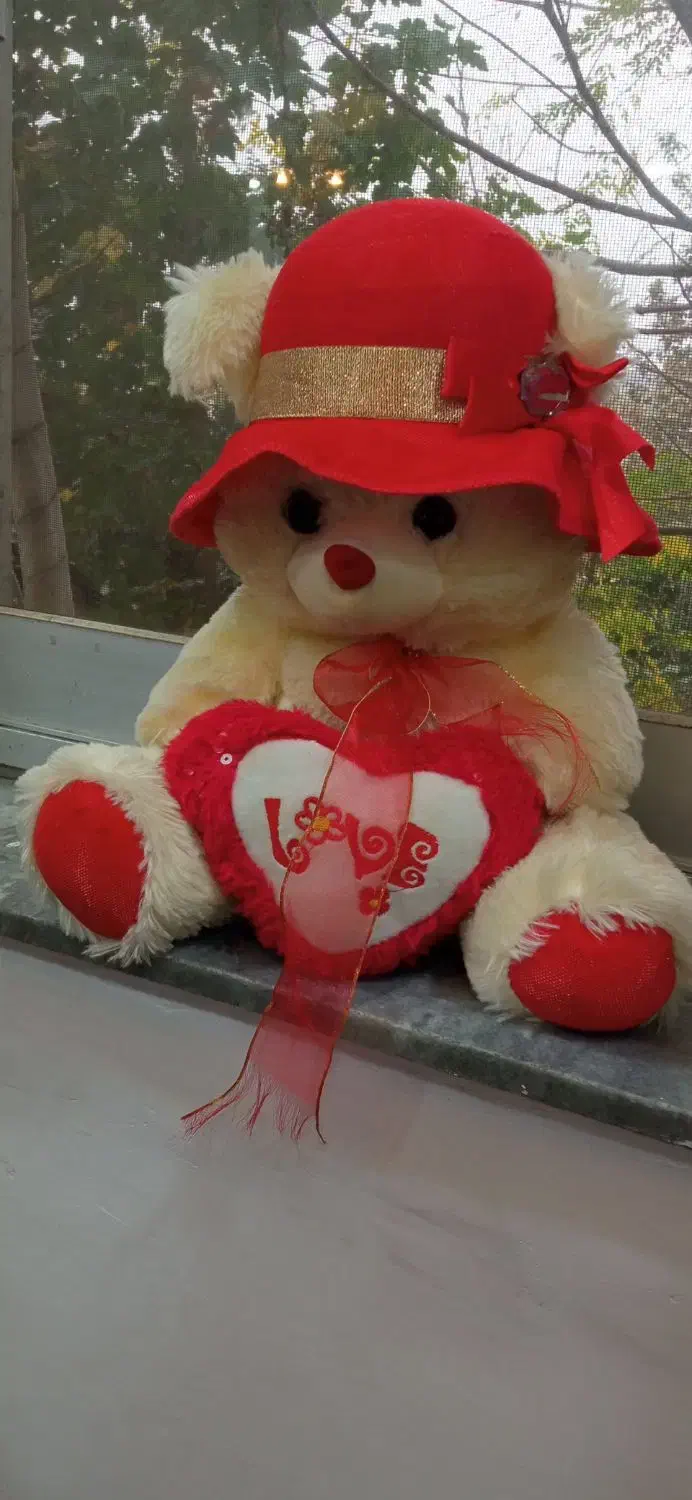 عروسک خرسی ولنتاین|اسباب‌‌بازی|رشت, فلسطین|دیوار