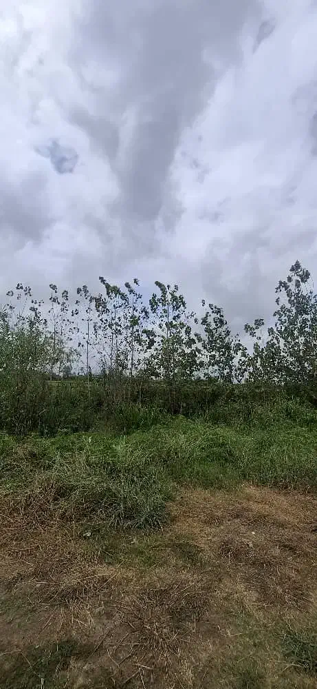 300متر داخل بافت مجوز دو دیوار باخودم|فروش زمین و ملک کلنگی|احمدسرگوراب, |دیوار