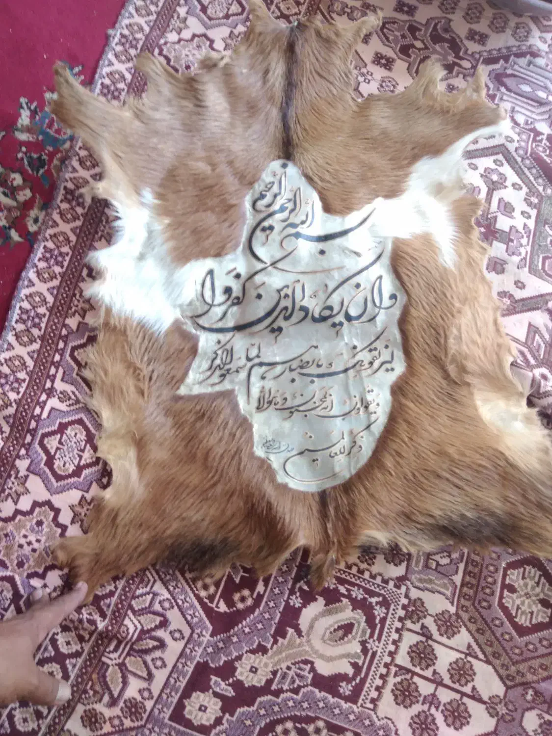 پوست کره  وان یکاد|صنایع دستی و سایر لوازم تزئینی|زرند, |دیوار