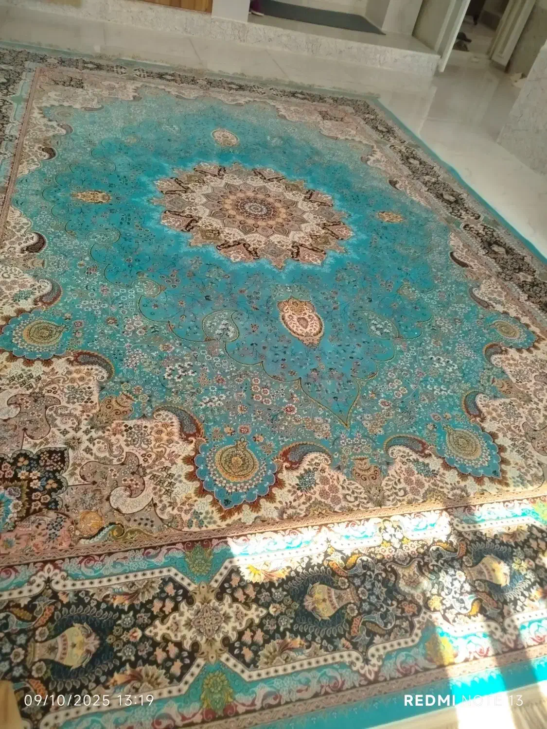 دوعدد قالی دستباف ماشینی|فرش|شیراز, شاپورجان|دیوار