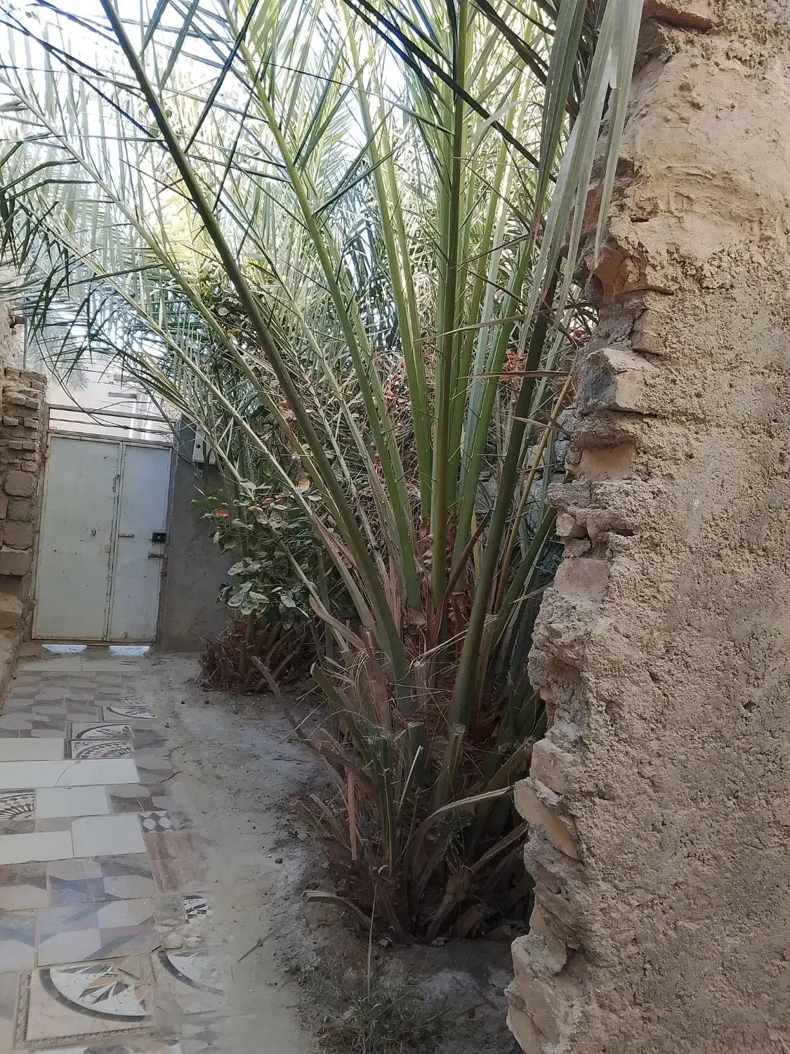 منزل‌اجاره‌ای|اجارهٔ خانه و ویلا|سراوان, |دیوار