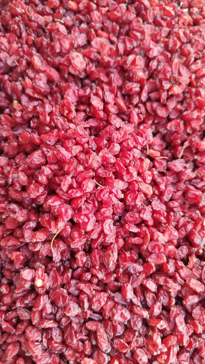 زرشک|خدمات باغبانی و درختکاری|قائن, |دیوار