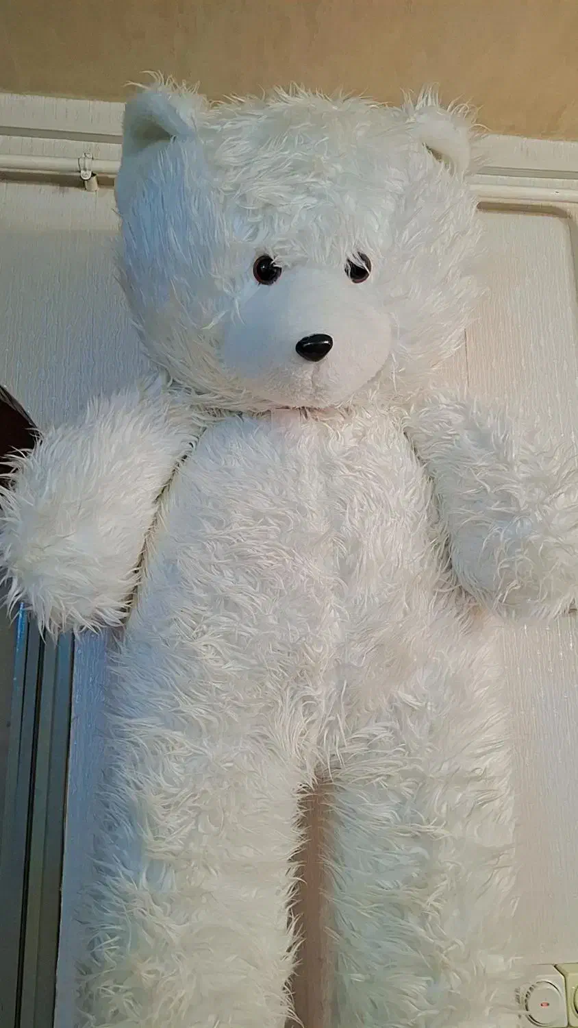 عروسک خرسی بزرگ|اسباب‌بازی بچه|تبریز, |دیوار