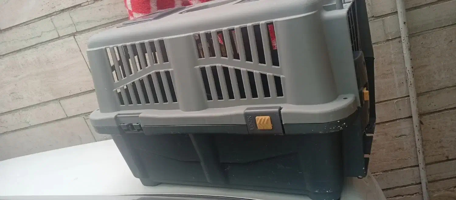 جایه گربه و سگ|لوازم جانبی حیوانات|شیراز, شیخ علی چوپان|دیوار