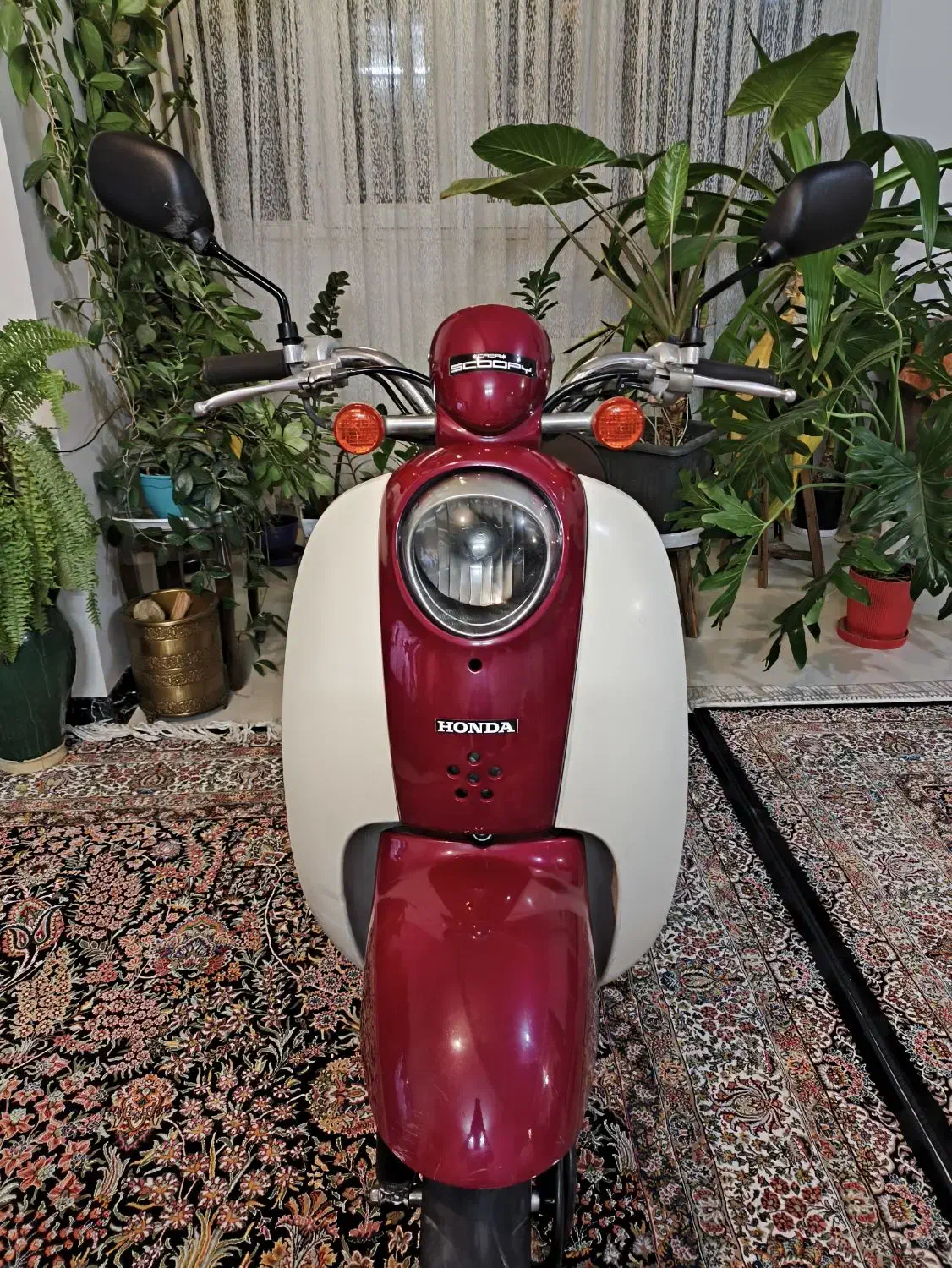 پاکشتی هندا اسکوپی|موتورسیکلت|شیراز, صدا و سیما|دیوار