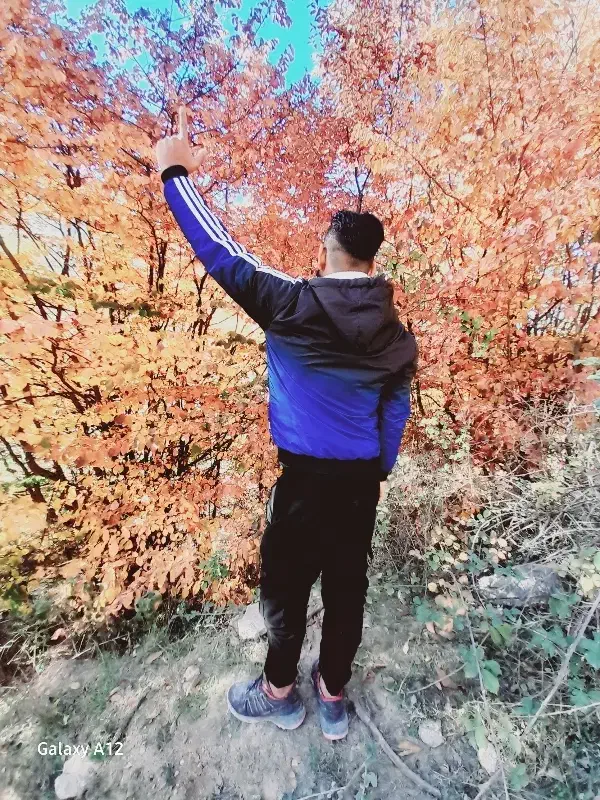 راهنمای|فعالیت داوطلبانه|گرگان, |دیوار