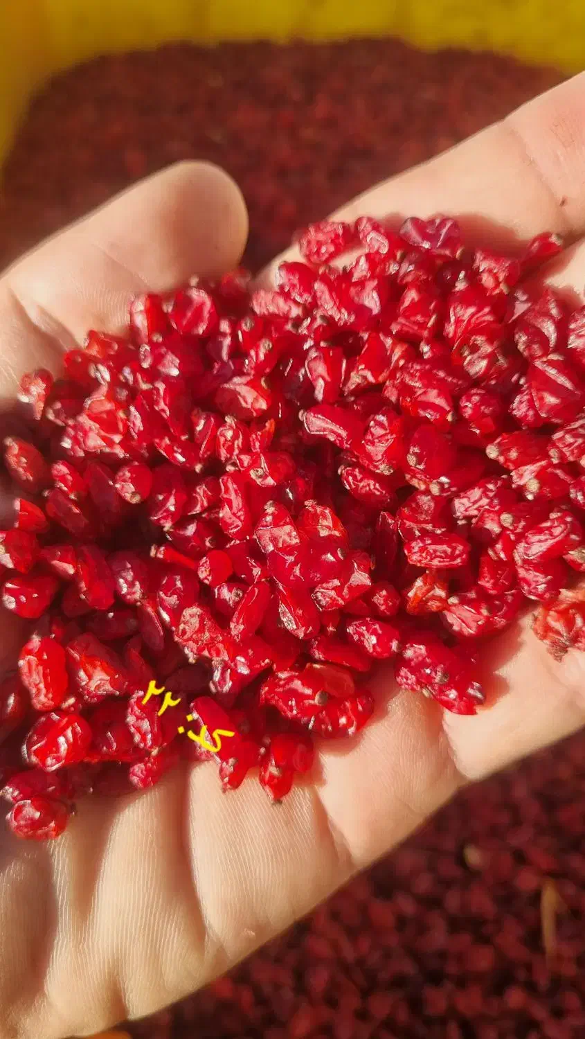 فروش زرشک دانه اناری، زیرتالاری و پفکی|عمدهفروشی|بیرجند, |دیوار