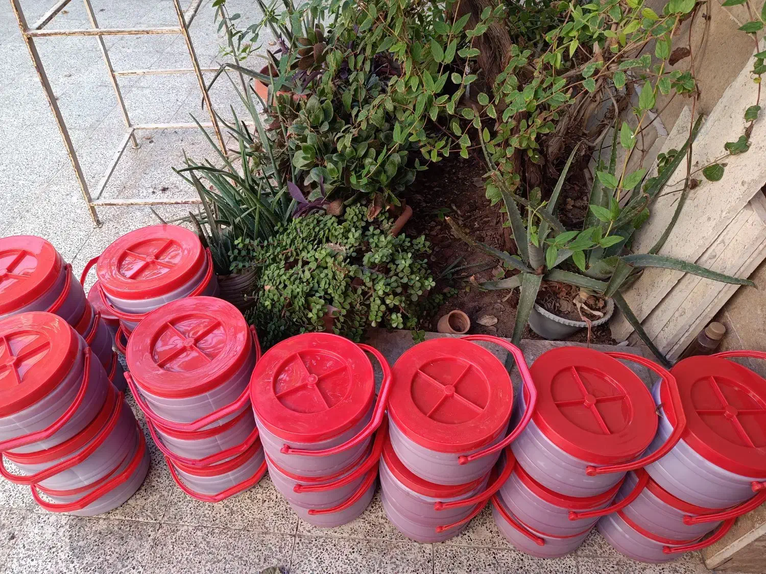 رب شرکتی|خوردنی و آشامیدنی|قم, هفت تیر|دیوار