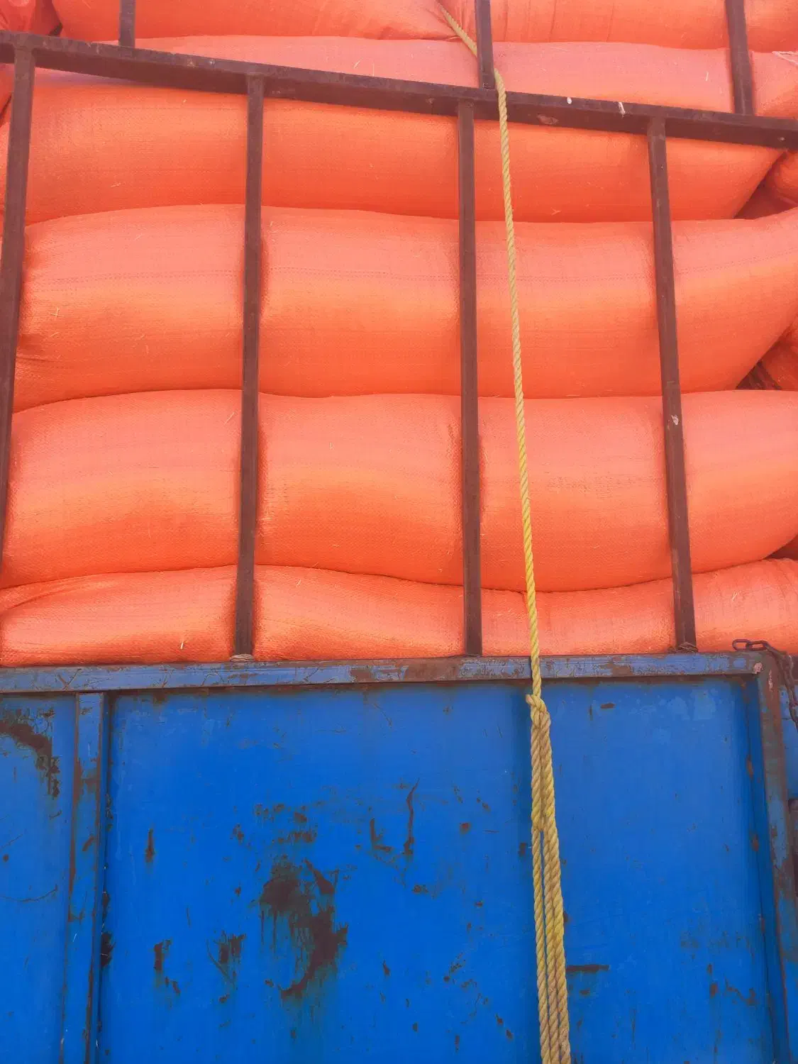 کاه گندم|لوازم جانبی حیوانات|ایلام, |دیوار