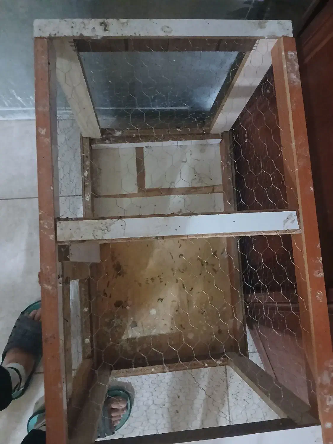 قفس کبوتر|لوازم جانبی حیوانات|اردبیل, |دیوار