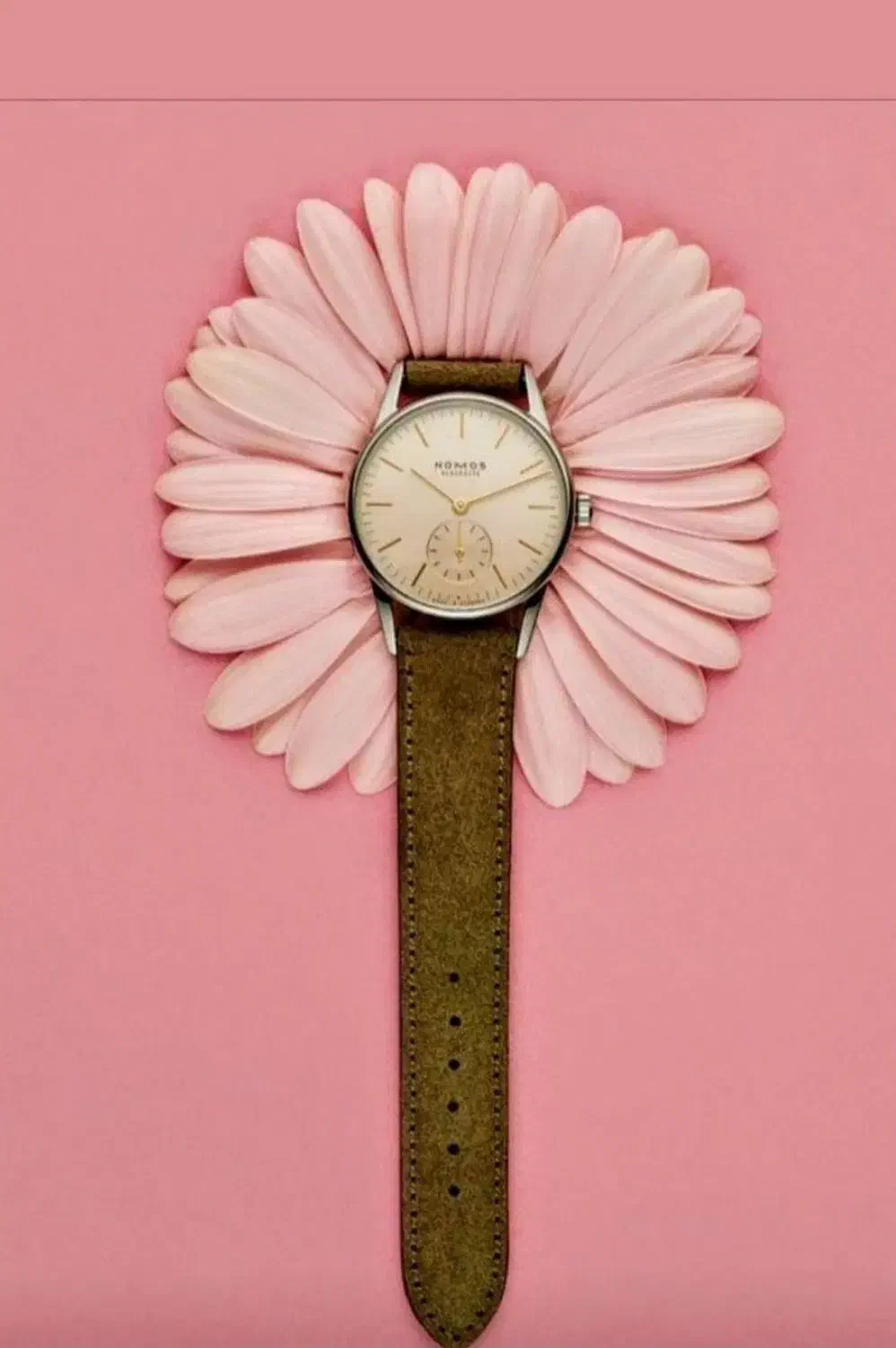 عکاسی و فیلمبرداری|خدمات پذیرایی، مراسم|تهران, صادقیه|دیوار