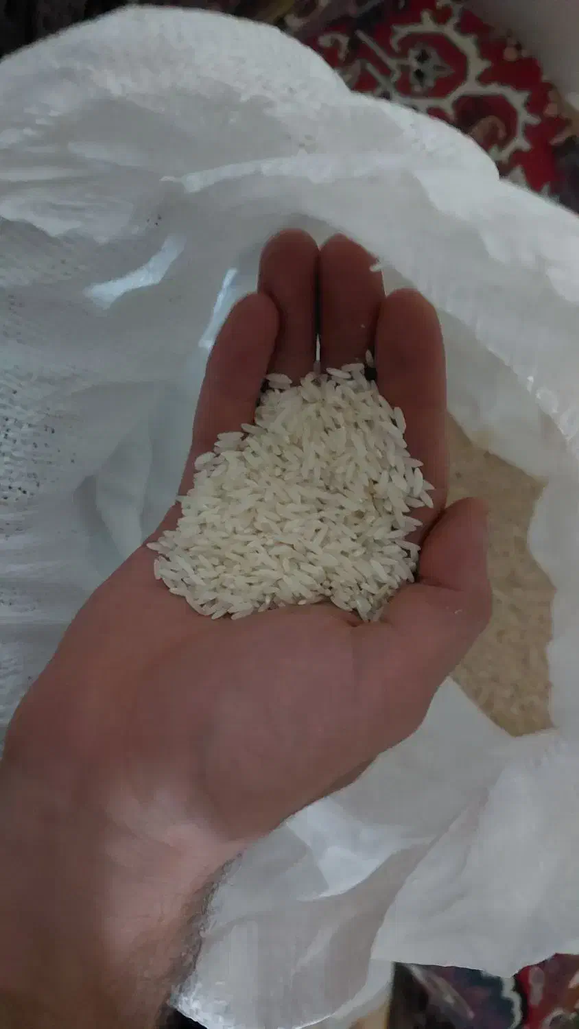 برنج درگز درجه یک|خوردنی و آشامیدنی|قوچان, |دیوار