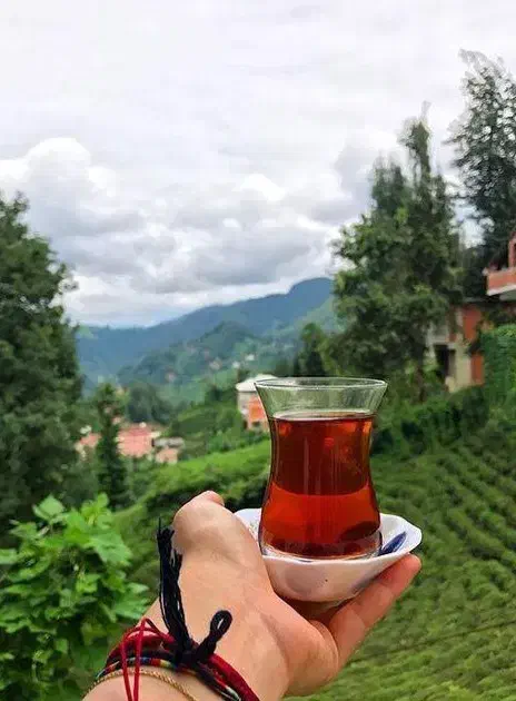 چای بهاره املش|خوردنی و آشامیدنی|شیراز, عادل آباد|دیوار