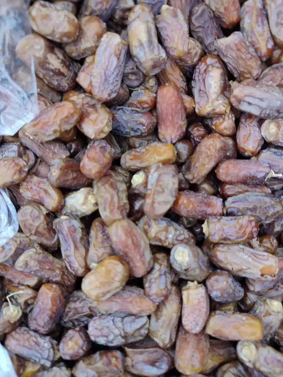 کیلو۱۲۰ کاملا ارگانیک بدون سمپاشی|خوردنی و آشامیدنی|داراب, |دیوار
