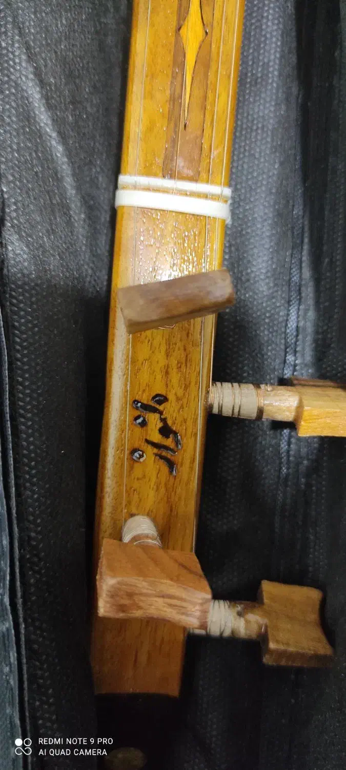 سه تار دلنواز|سازهای سنتی|صدرا-فارس, فاز ۲|دیوار