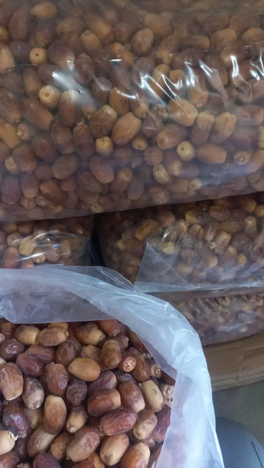 فروش خرمای قصب|خوردنی و آشامیدنی|چاه ورز, |دیوار