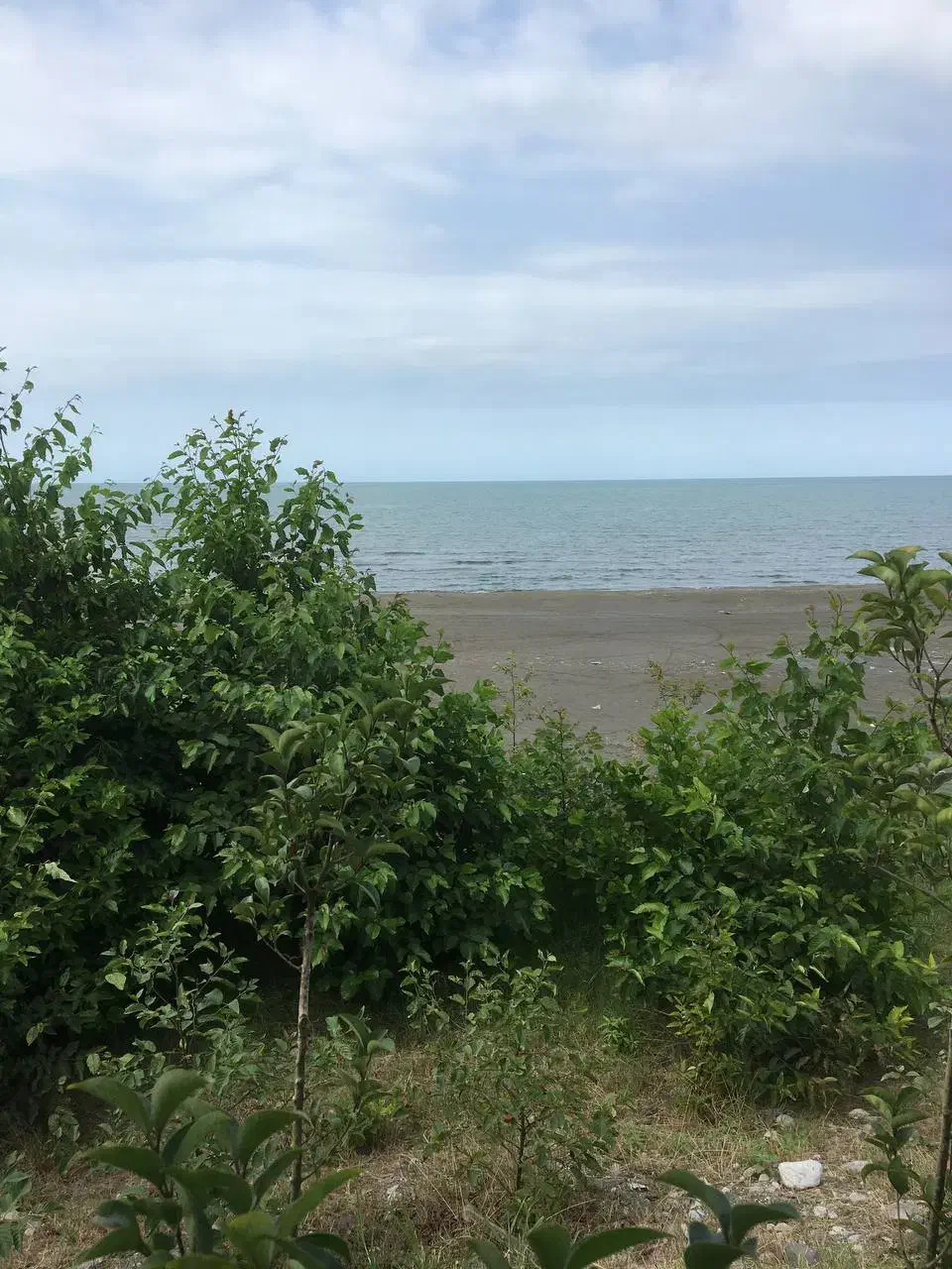 جهت کار در کافه|استخدام خدمات فروشگاه و رستوران|تنکابن, |دیوار