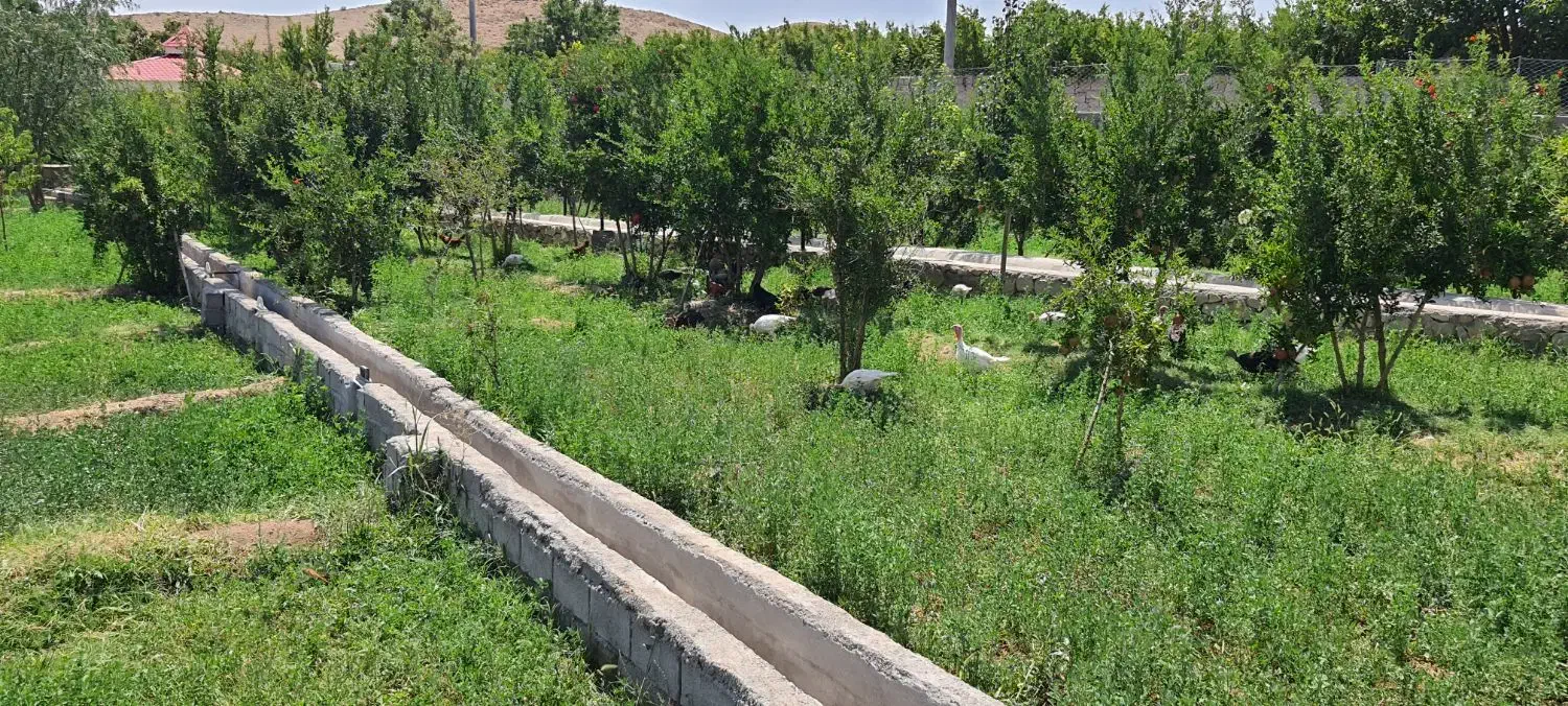 استخدام باغبان|استخدام سرایداری و نظافت|مهدی شهر, |دیوار