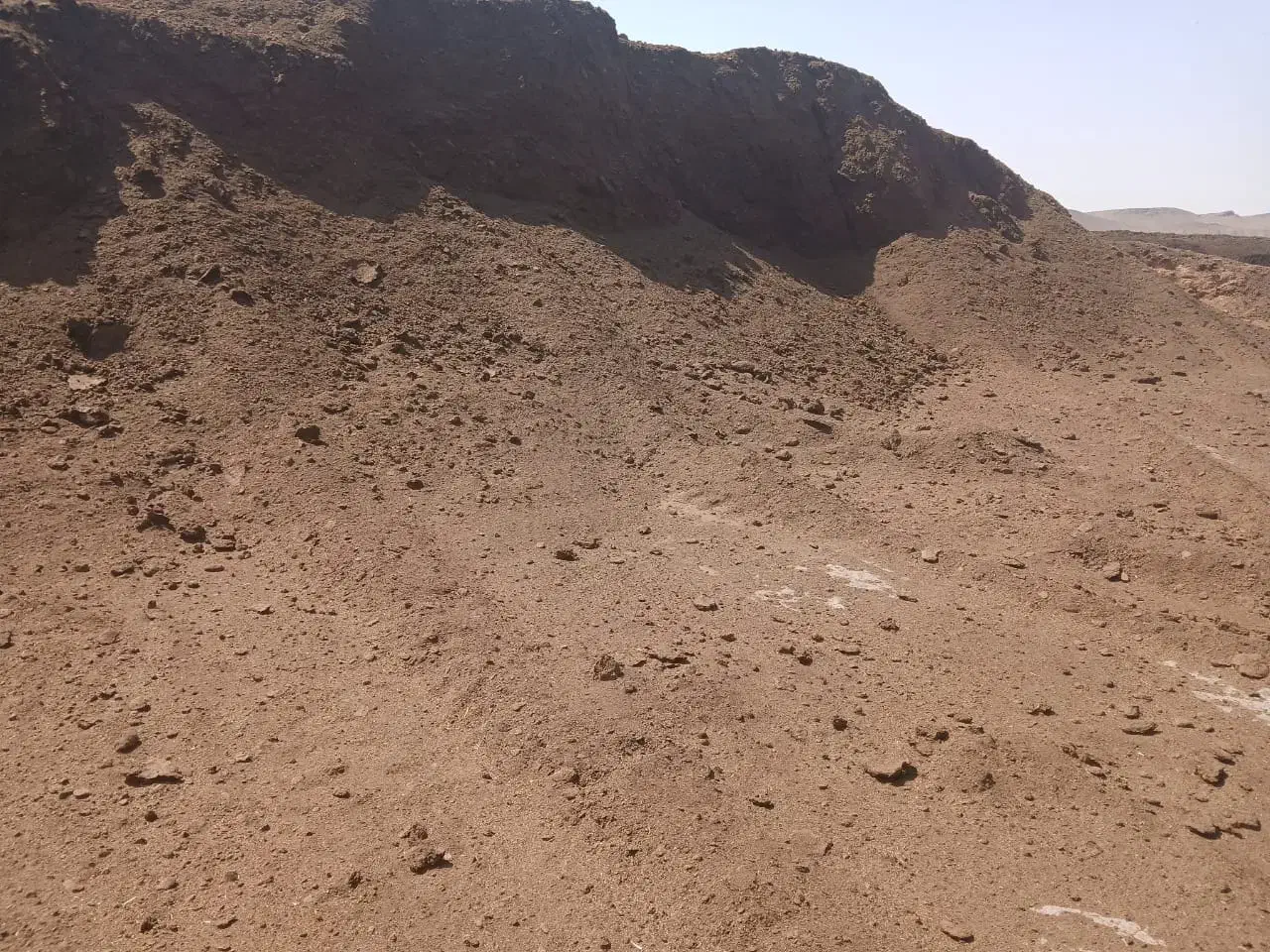 کودگاوشیری پوسیده|خدمات باغبانی و درختکاری|رباط‌کریم, رباط‌کریم|دیوار