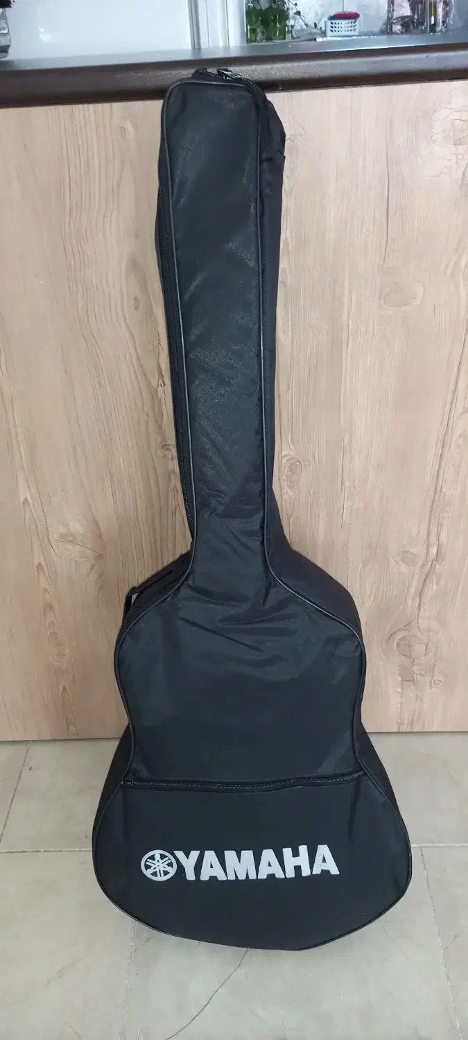 گیتار m5همراه کیف و کاپو|گیتار، بیس، امپلیفایر|آبیک, |دیوار