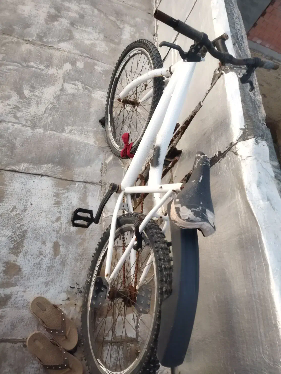 دوچرخه سایز ۲۴|دوچرخه، اسکیت، اسکوتر|کلاله, |دیوار