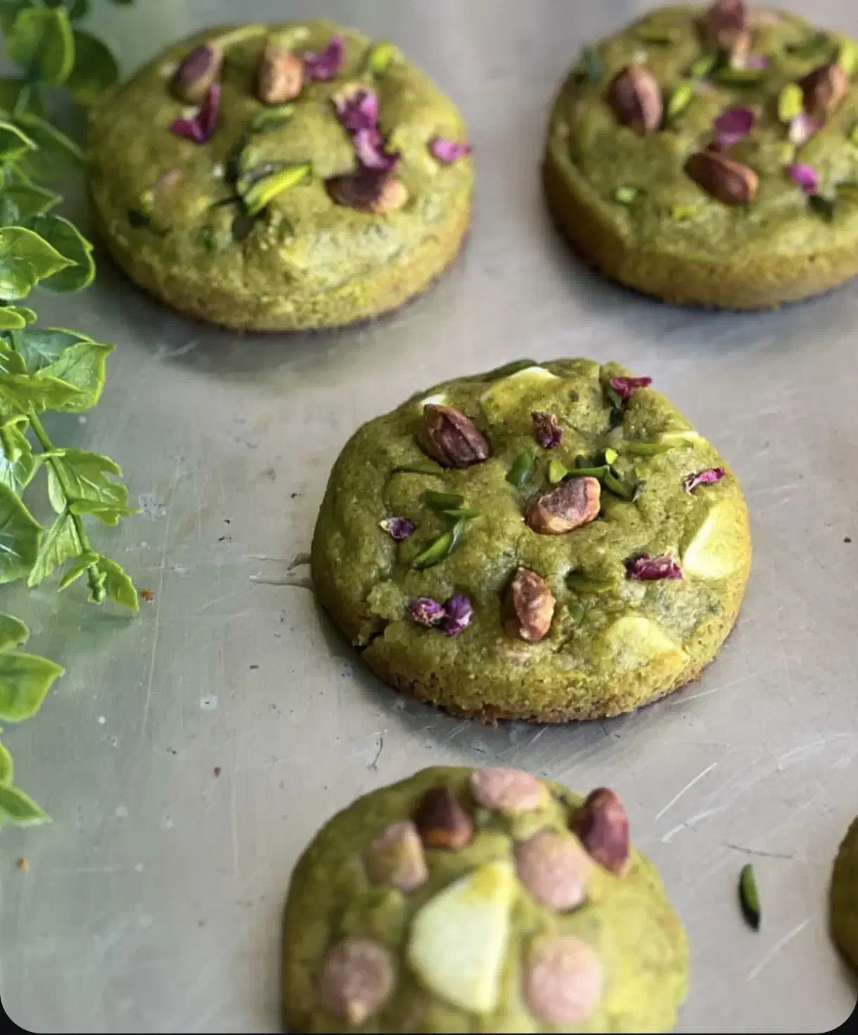 کوکی های خانگی|خوردنی و آشامیدنی|لاهیجان, مهرگان|دیوار