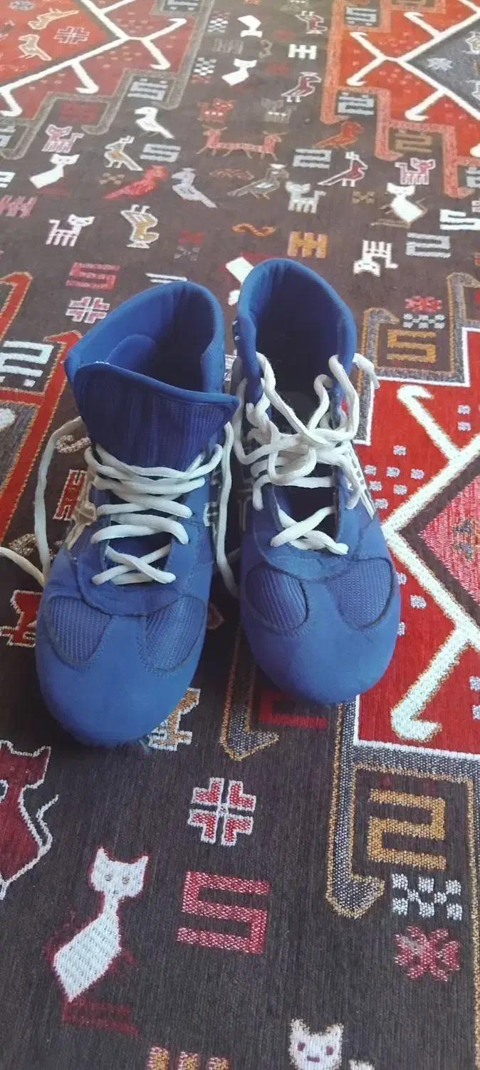 کتونی|کیف، کفش، کمربند|الشتر, |دیوار