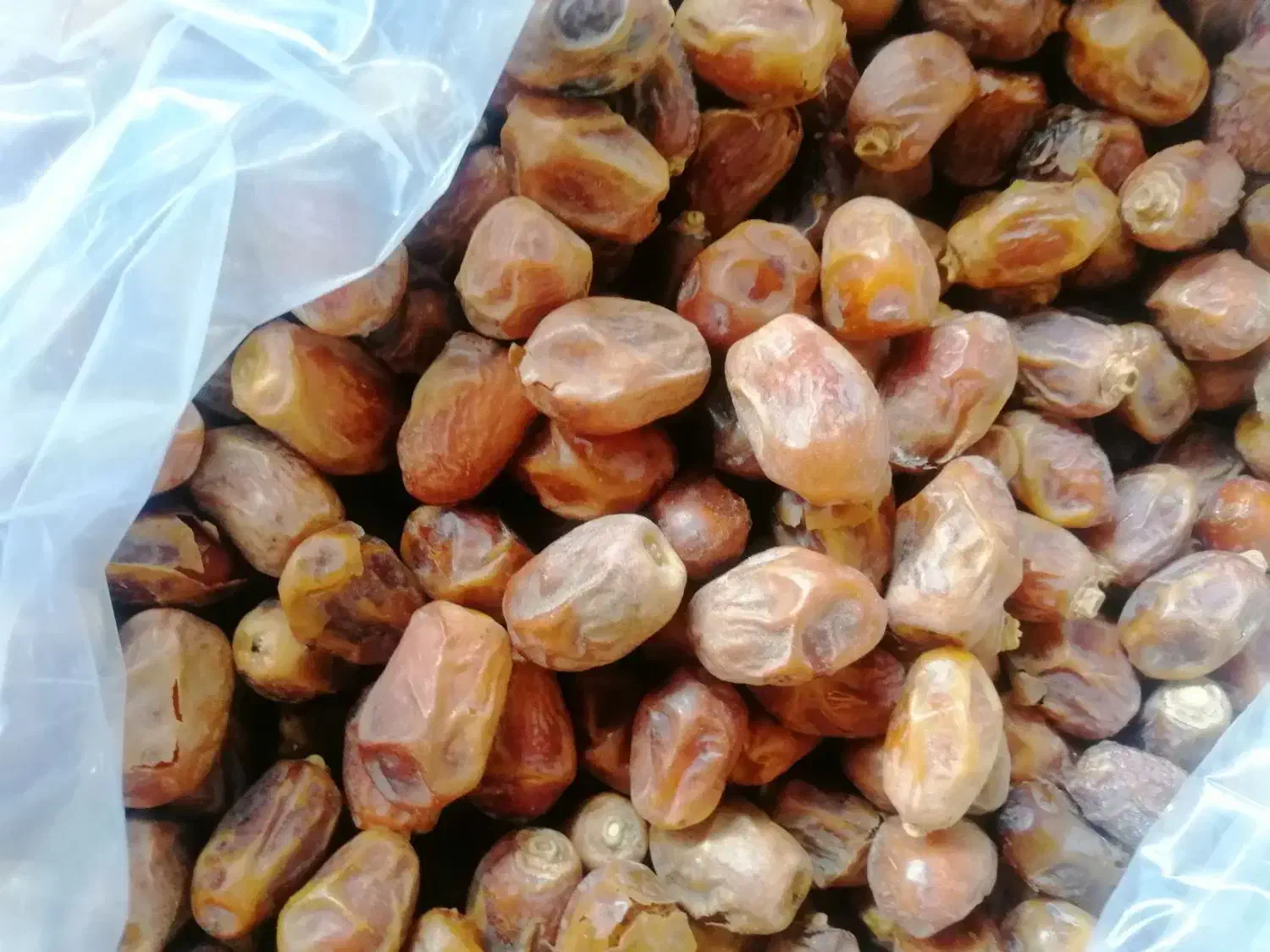 زاهدی|خوردنی و آشامیدنی|آبادان, |دیوار