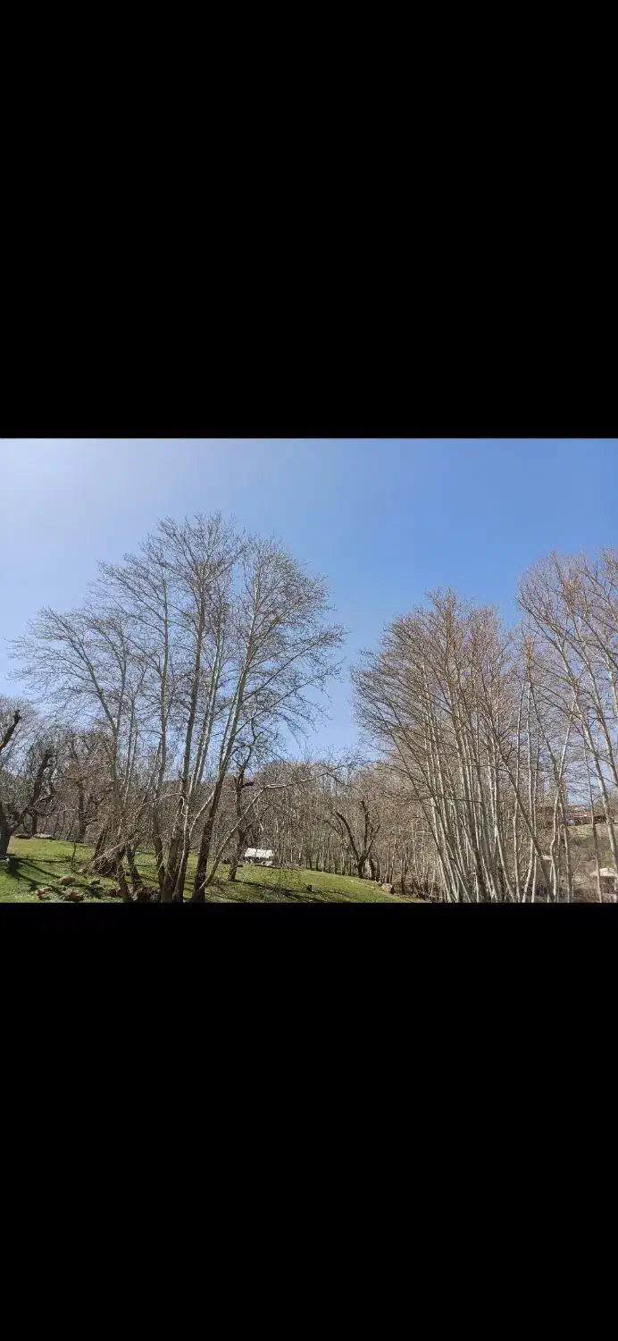 زمین باغی همایجان رودبال|فروش زمین و ملک کلنگی|سپیدان, |دیوار