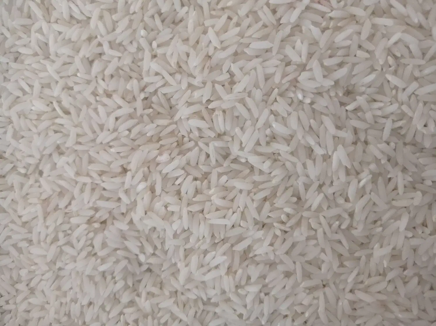 برنج علی کاظمی|خوردنی و آشامیدنی|میانه, |دیوار