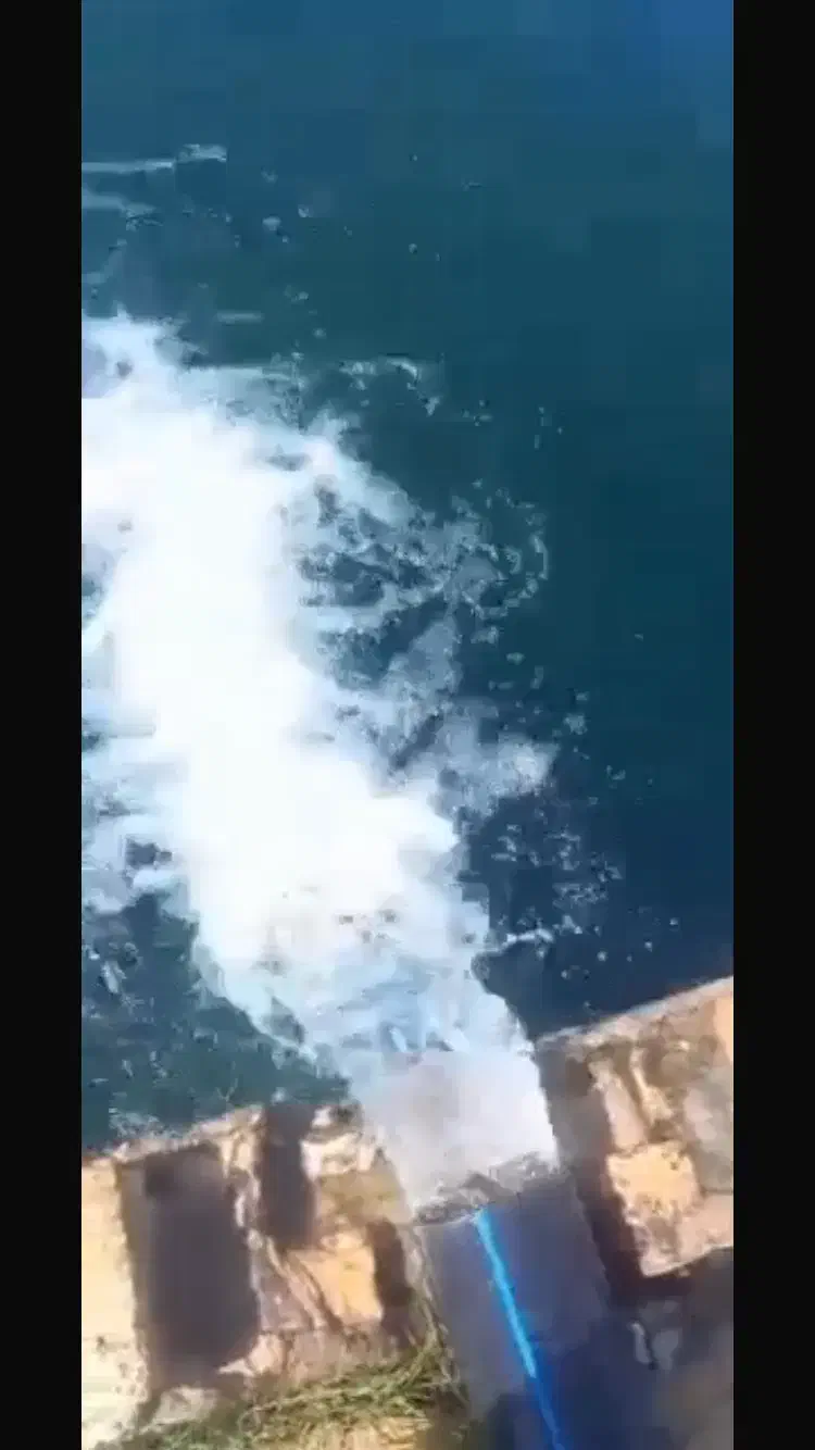 اجاره ۲۰ تا ۷۰ هکتارزمین کشاورزی|اجارهٔ دفتر صنعتی، کشاورزی، تجاری|بشاریات, |دیوار