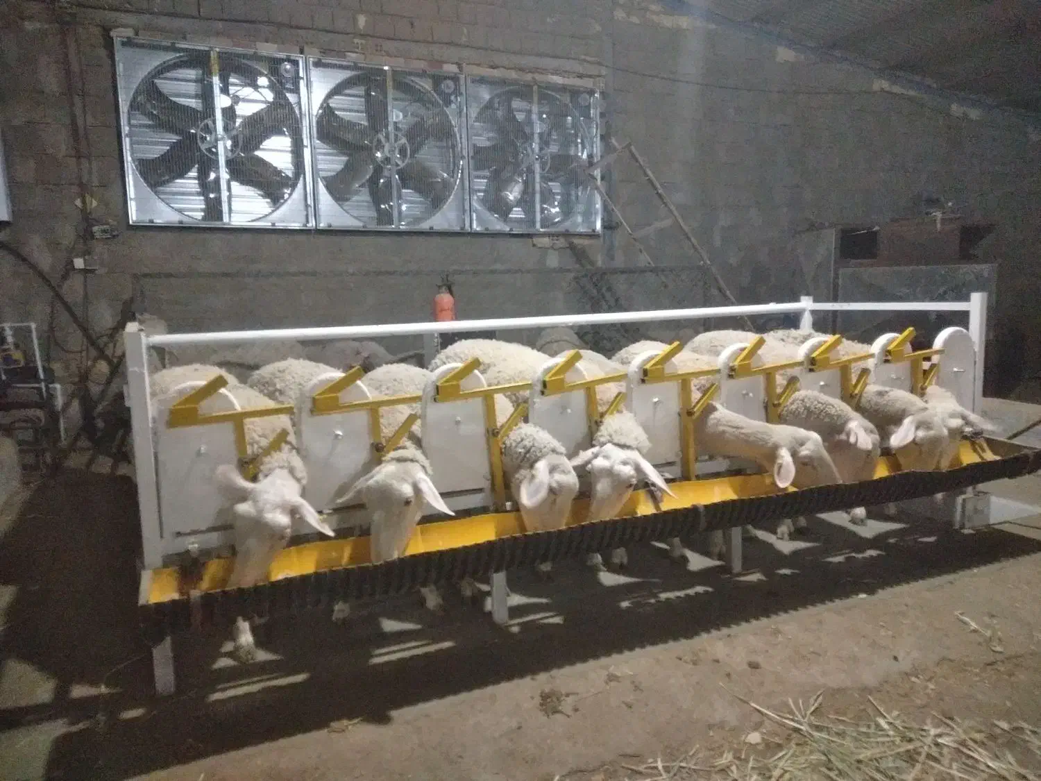 فروش مجتمع دامپروری ، بلوکه زنی ، کشاورزی و ویلایی|فروش زمین و ملک کلنگی|خوسف, |دیوار