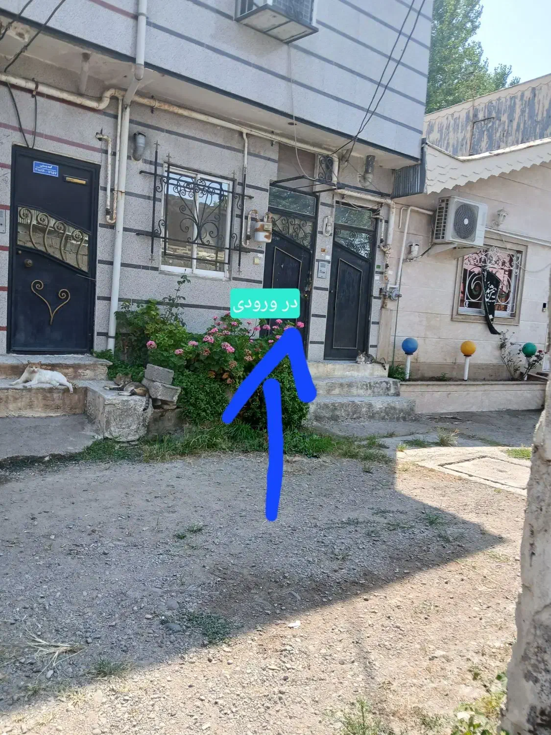 خانه|اجارهٔ خانه و ویلا|رشت, آب آسیاب|دیوار