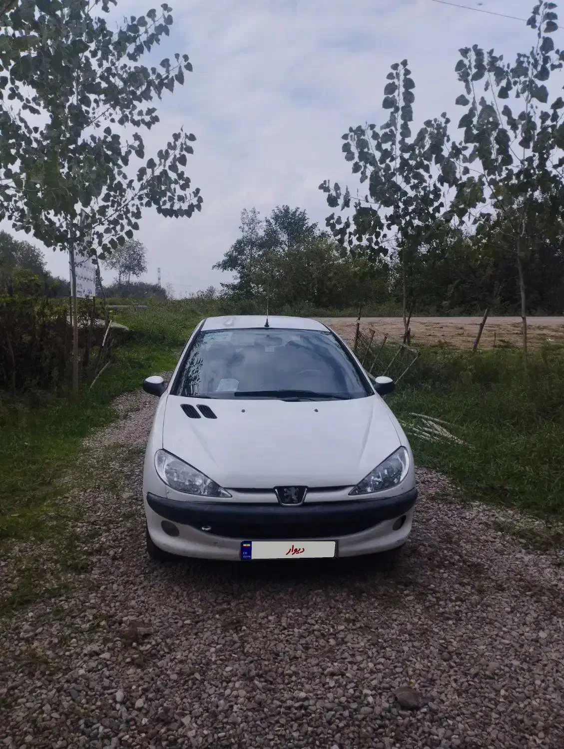 206 تیپ 2 مدل 82|خودرو سواری و وانت|لاهیجان, طالقانی|دیوار