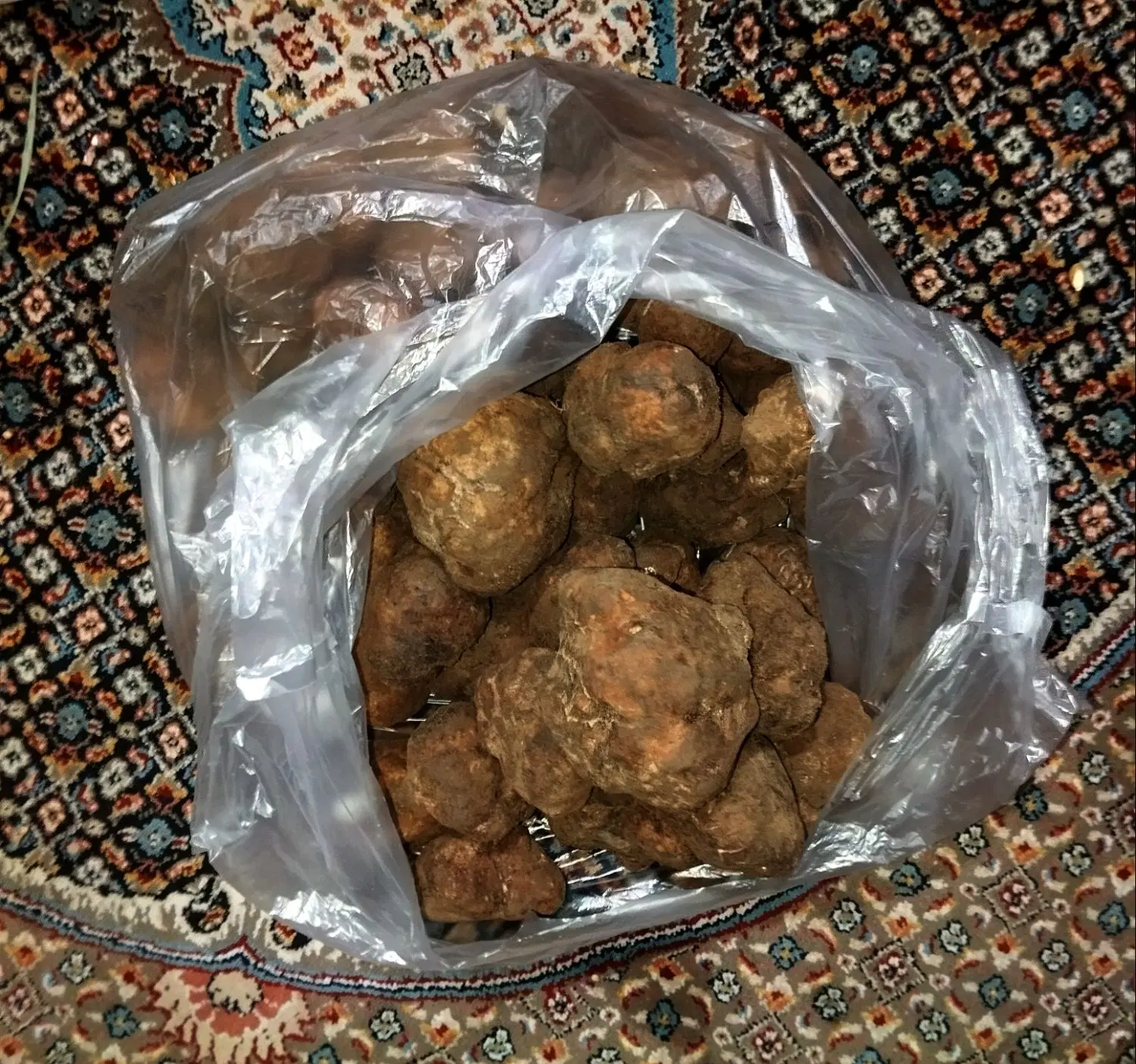 دنبل تازه|خوردنی و آشامیدنی|فیروزآباد (فارس), |دیوار
