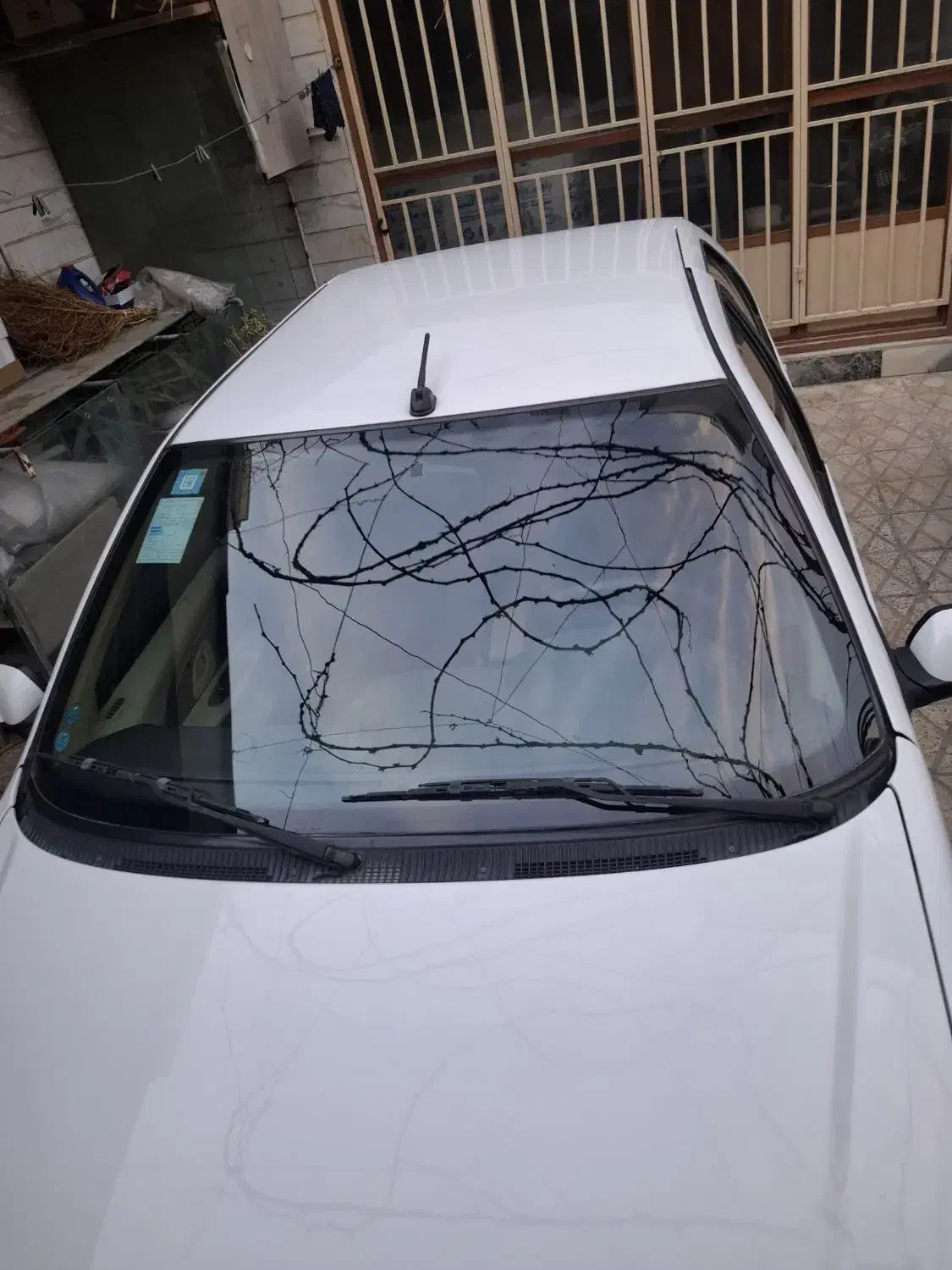 پژو پارس|خودرو سواری و وانت|اسلام‌شهر, زرافشان|دیوار