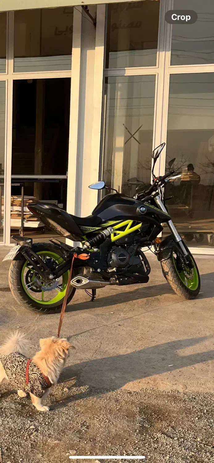 qj250|موتورسیکلت|کرمانشاه, |دیوار