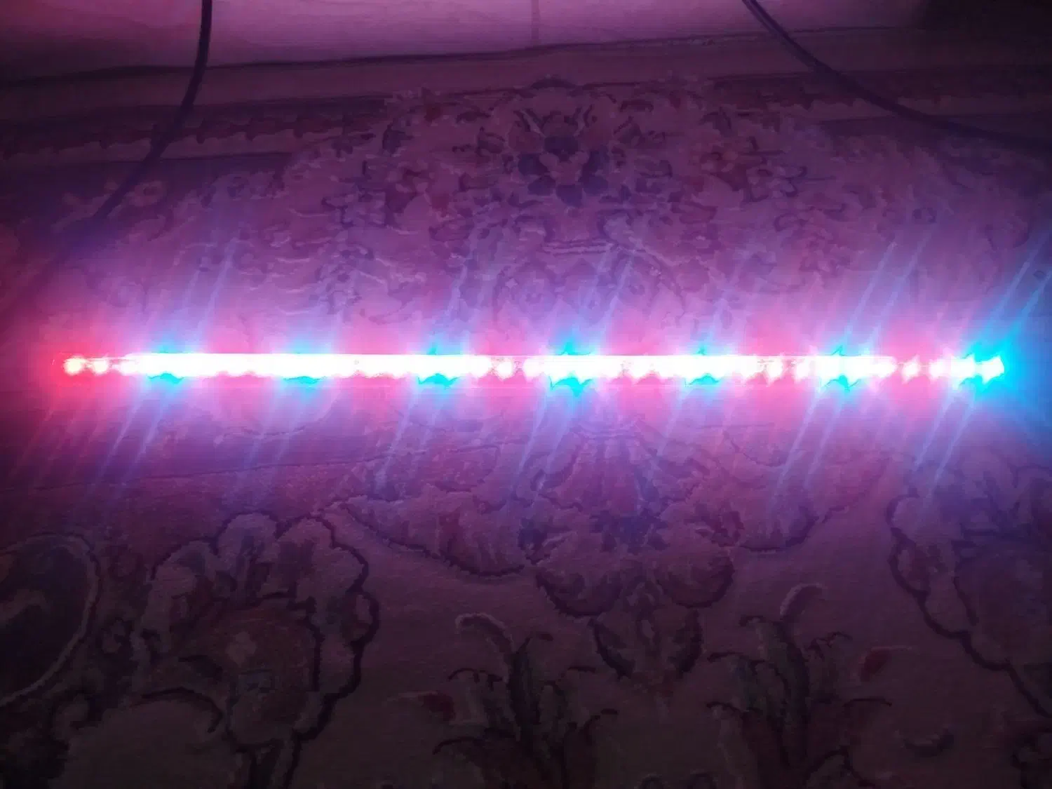 لامپ اکواریوم|لوازم جانبی حیوانات|صباشهر, |دیوار