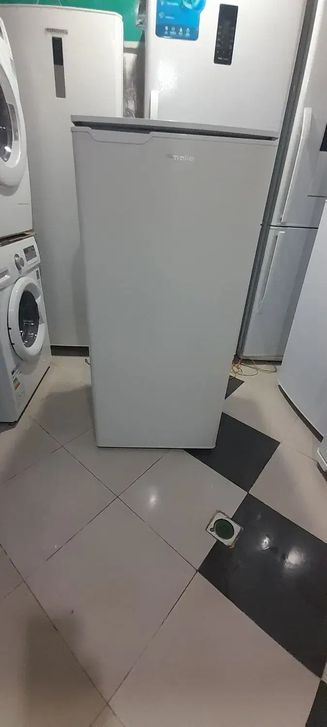 هیمالیا ۱۱فوت مجردی|یخچال و فریزر|سنندج, |دیوار