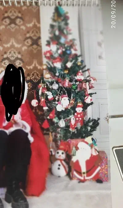 کاج و کوزه|گل مصنوعی|همدان, |دیوار