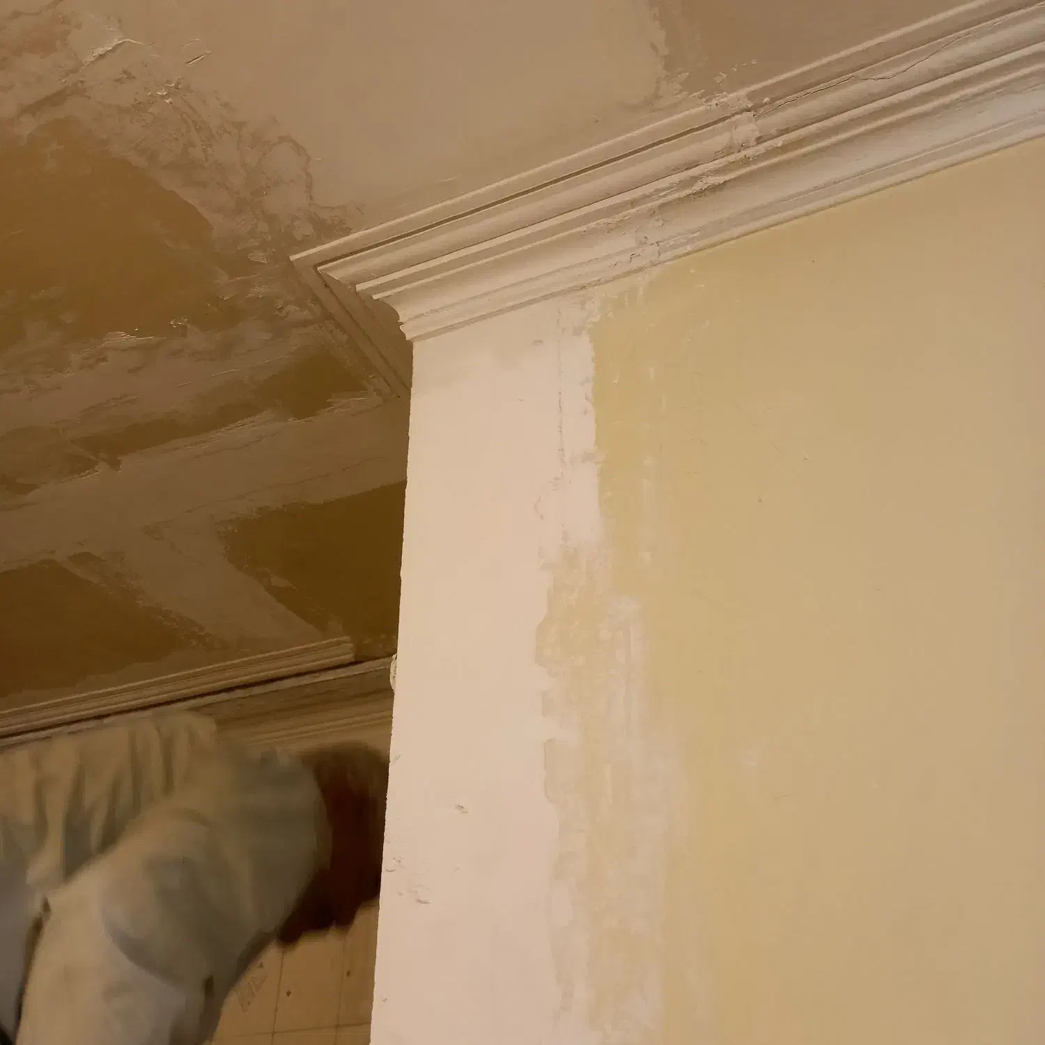 گچکاری تعمیرات تخریب.باز سازی ساختمان .سیمان کاری|خدمات پیشه و مهارت|تهران, کرمان|دیوار