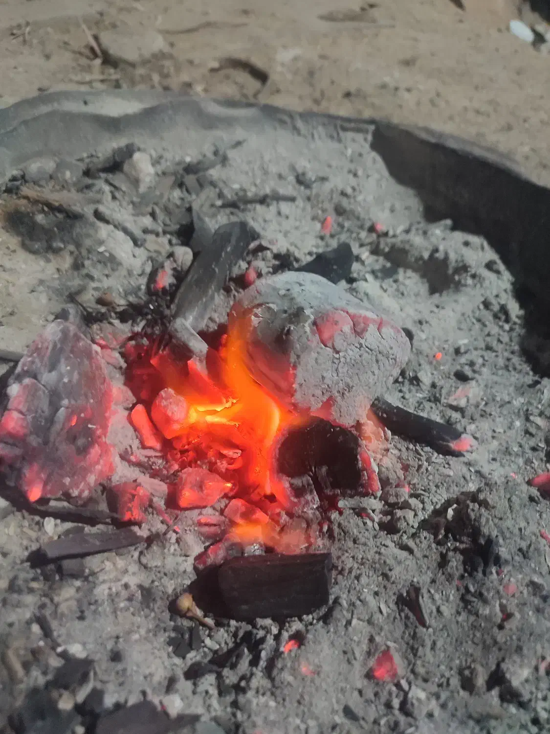 ذغال کبابی|عمده‌فروشی|اصفهان, شهرک صنعتی جی|دیوار