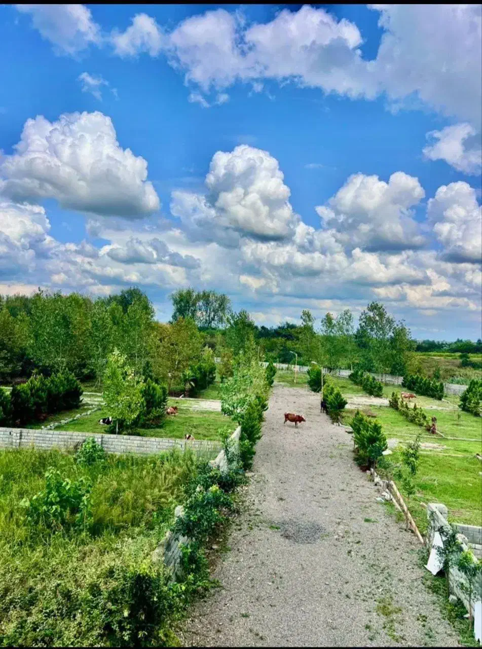 زمین۲۲۴متری*داخل شهرک*قابلیت ساخت انشعابات روی ملک|فروش زمین و ملک کلنگی|چمستان, |دیوار