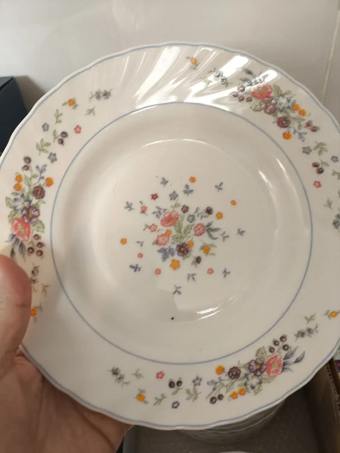 آرکوپال ویکتوریا|ظروف سرو و پذیرایی|ارومیه, |دیوار