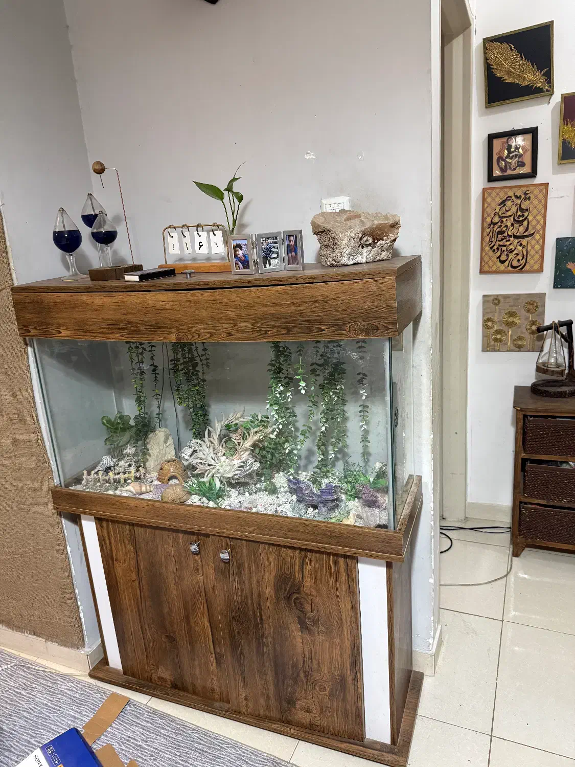 آکواریوم کاملا سالم|ماهی|قدس, شهرک فرزان|دیوار