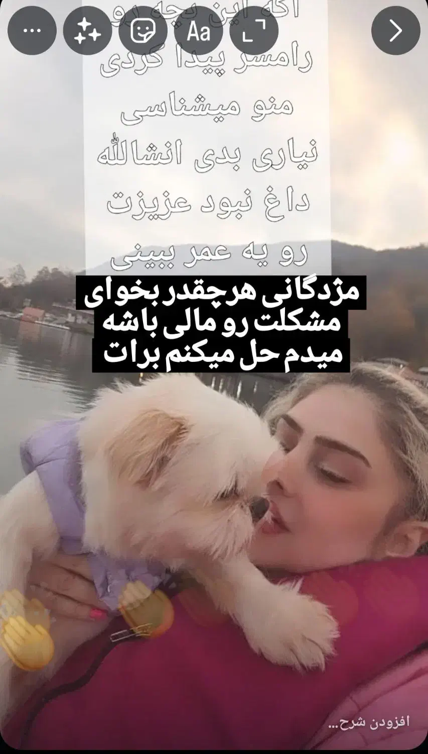 گمشده|سگ|رامسر, |دیوار